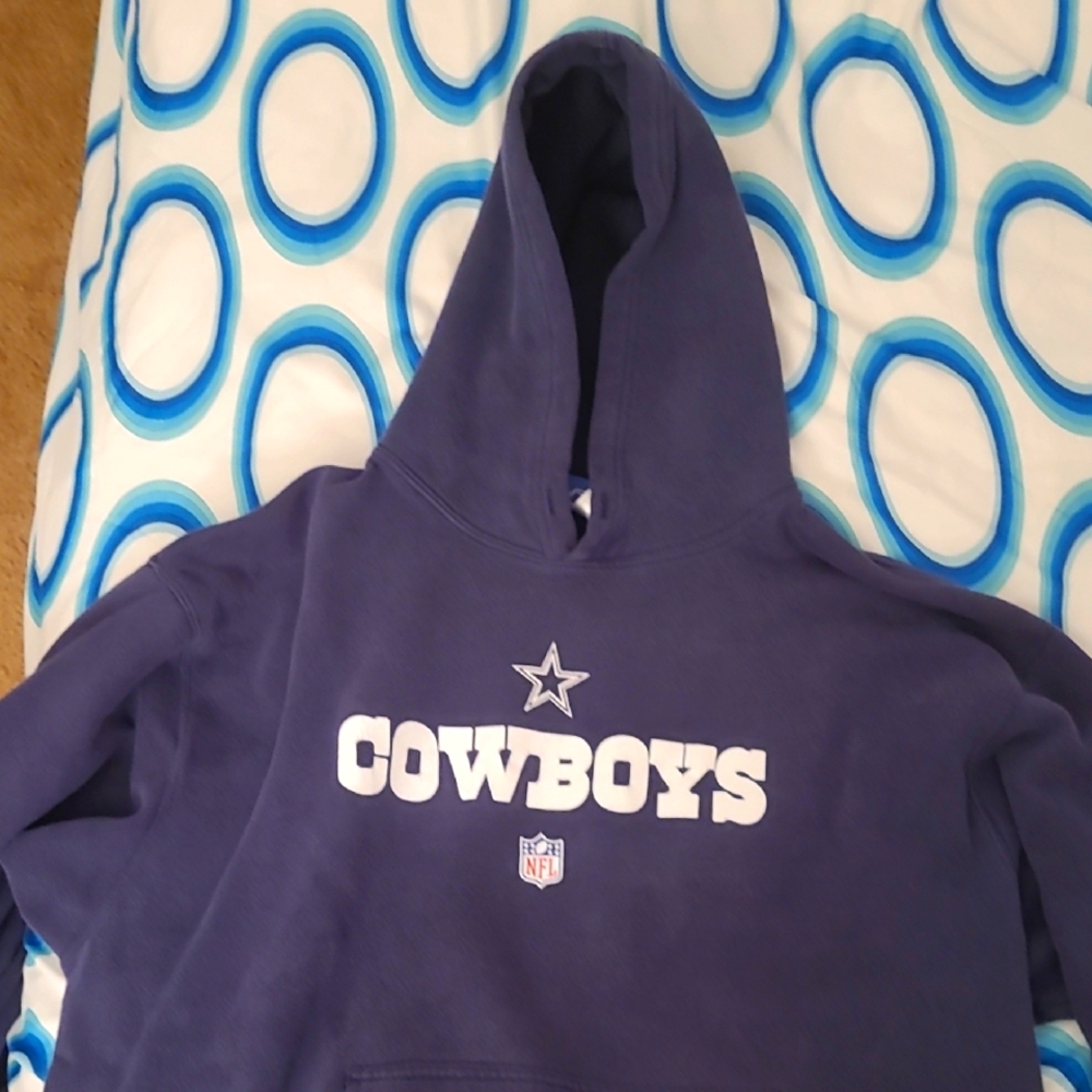 Reebok Blue Sweatshirt Hoodie, It Has A Pink Mark On Right Sleeve.